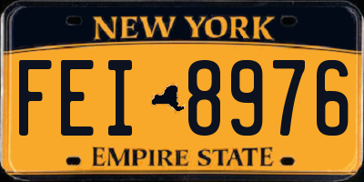 NY license plate FEI8976