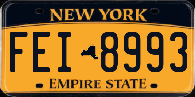 NY license plate FEI8993