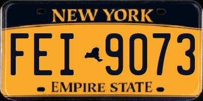 NY license plate FEI9073