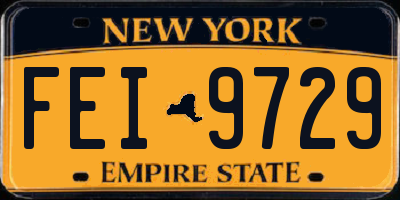 NY license plate FEI9729