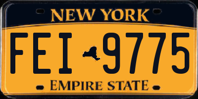 NY license plate FEI9775