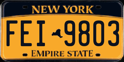 NY license plate FEI9803