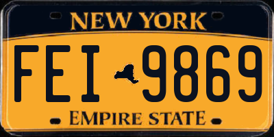 NY license plate FEI9869