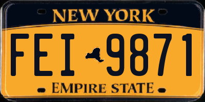 NY license plate FEI9871