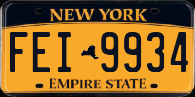 NY license plate FEI9934
