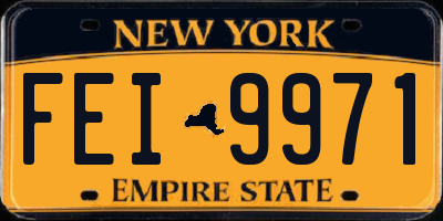 NY license plate FEI9971