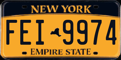 NY license plate FEI9974