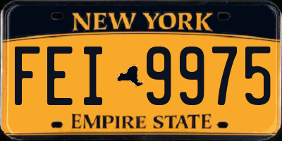 NY license plate FEI9975