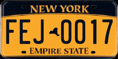 NY license plate FEJ0017