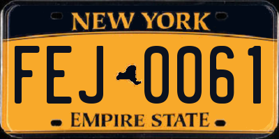 NY license plate FEJ0061