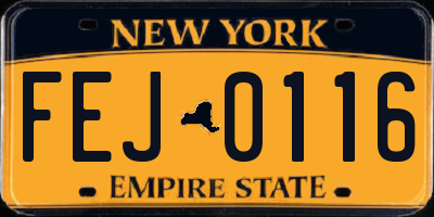 NY license plate FEJ0116