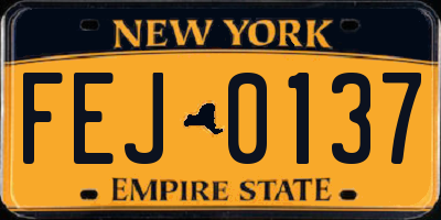 NY license plate FEJ0137