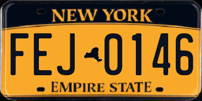 NY license plate FEJ0146