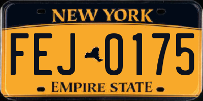 NY license plate FEJ0175