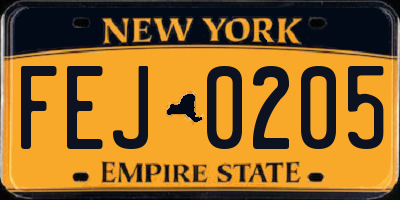 NY license plate FEJ0205