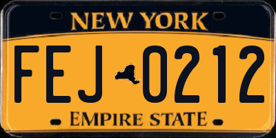 NY license plate FEJ0212