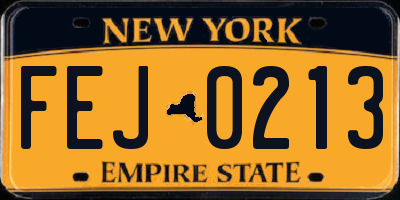 NY license plate FEJ0213