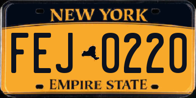 NY license plate FEJ0220
