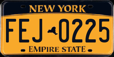 NY license plate FEJ0225