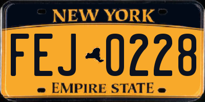 NY license plate FEJ0228