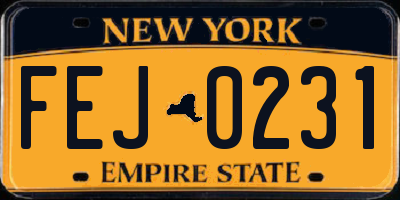 NY license plate FEJ0231