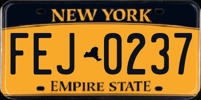 NY license plate FEJ0237