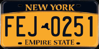 NY license plate FEJ0251