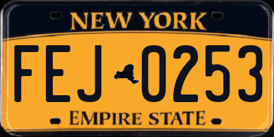 NY license plate FEJ0253