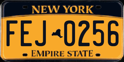NY license plate FEJ0256