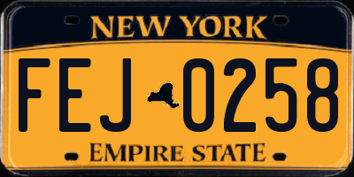 NY license plate FEJ0258