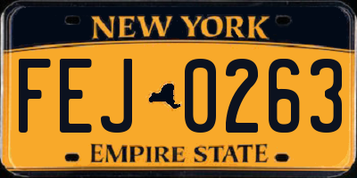 NY license plate FEJ0263