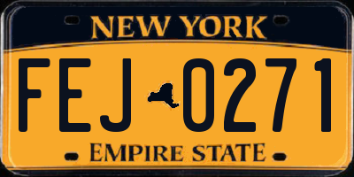 NY license plate FEJ0271