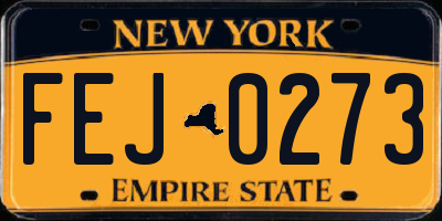 NY license plate FEJ0273