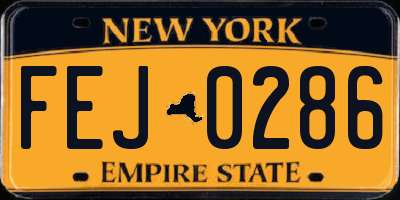 NY license plate FEJ0286