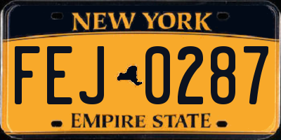NY license plate FEJ0287
