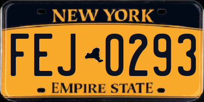 NY license plate FEJ0293