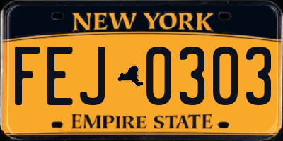 NY license plate FEJ0303