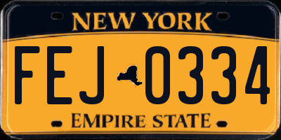 NY license plate FEJ0334