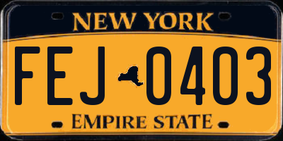 NY license plate FEJ0403