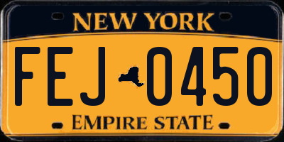 NY license plate FEJ0450