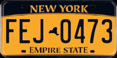 NY license plate FEJ0473