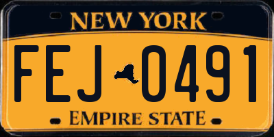 NY license plate FEJ0491
