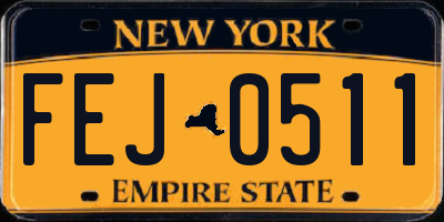 NY license plate FEJ0511