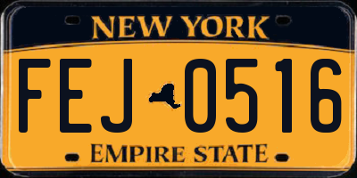 NY license plate FEJ0516