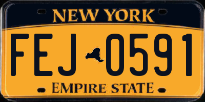 NY license plate FEJ0591