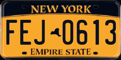 NY license plate FEJ0613