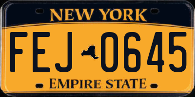 NY license plate FEJ0645