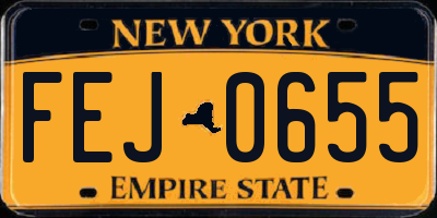 NY license plate FEJ0655