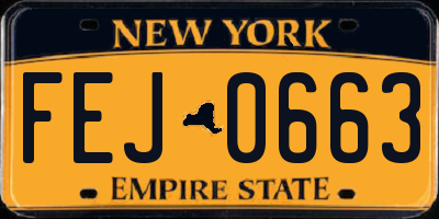 NY license plate FEJ0663