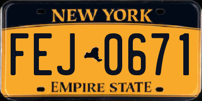 NY license plate FEJ0671
